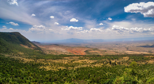 A herd of zebras grazing on the plains during a Kenyan safari